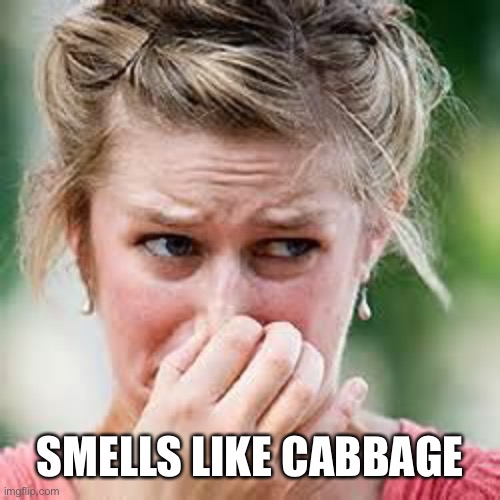 smelly | SMELLS LIKE CABBAGE | image tagged in smelly | made w/ Imgflip meme maker