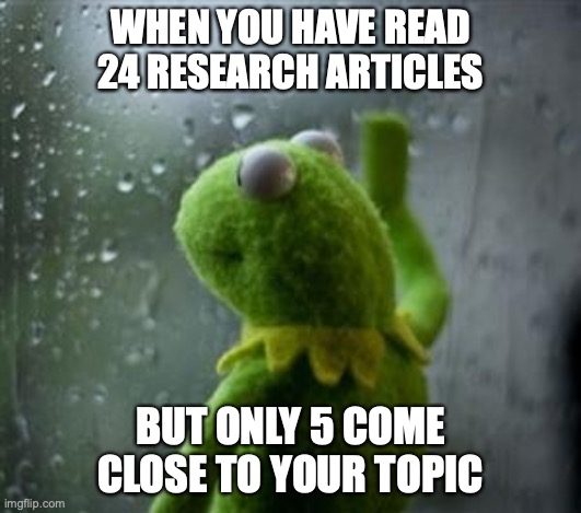 Research Fail | WHEN YOU HAVE READ 24 RESEARCH ARTICLES; BUT ONLY 5 COME CLOSE TO YOUR TOPIC | image tagged in sad kermit at window | made w/ Imgflip meme maker