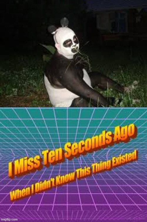 Creepy Panda costume | image tagged in i miss ten seconds ago | made w/ Imgflip meme maker