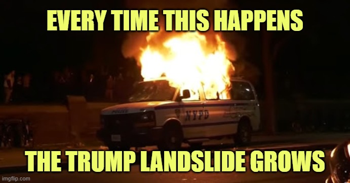 GOP victories from coast to coast this November | EVERY TIME THIS HAPPENS; THE TRUMP LANDSLIDE GROWS | image tagged in blm,riots | made w/ Imgflip meme maker