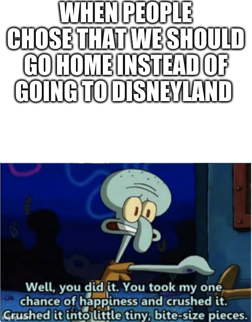 well | WHEN PEOPLE CHOSE THAT WE SHOULD GO HOME INSTEAD OF GOING TO DISNEYLAND | image tagged in you did it you took my one chance at happiness and crushed it | made w/ Imgflip meme maker