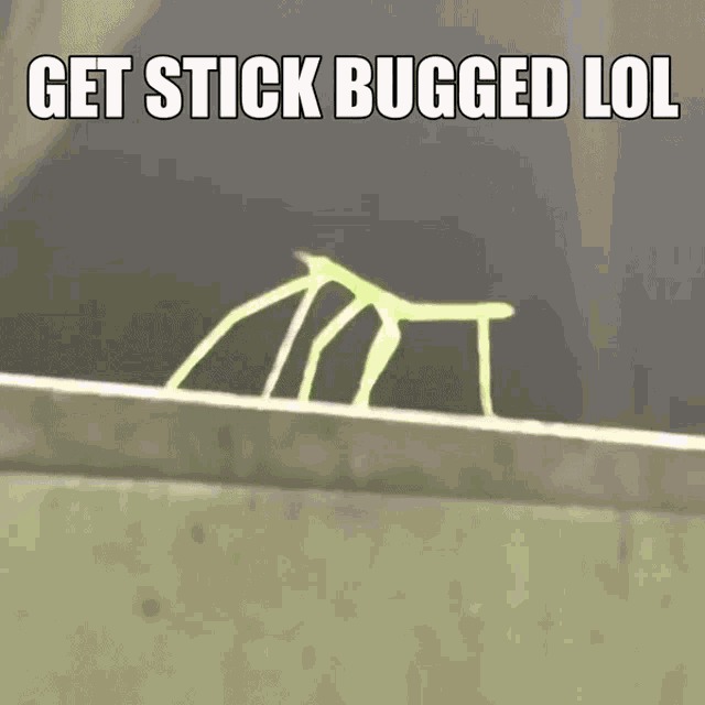 Stick bugged Blank Meme Template
