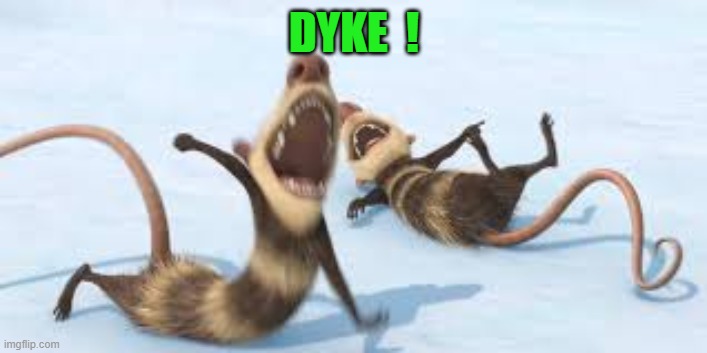 crash and eddie laughing | DYKE  ! | image tagged in crash and eddie laughing | made w/ Imgflip meme maker