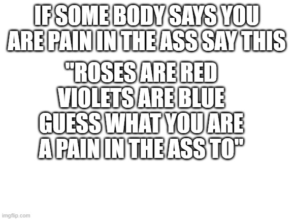 Blank White Template | IF SOME BODY SAYS YOU ARE PAIN IN THE ASS SAY THIS; "ROSES ARE RED VIOLETS ARE BLUE GUESS WHAT YOU ARE A PAIN IN THE ASS TO" | image tagged in blank white template | made w/ Imgflip meme maker