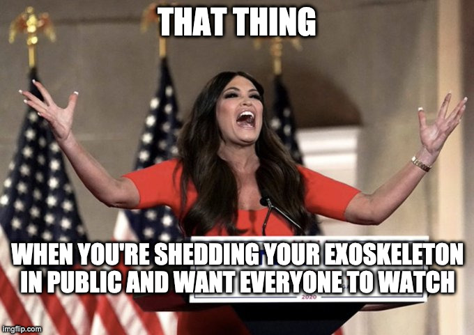 I'm molting, I'm molting ... what a world ... | THAT THING; WHEN YOU'RE SHEDDING YOUR EXOSKELETON IN PUBLIC AND WANT EVERYONE TO WATCH | image tagged in kimberly guilfoyle,republican national convention,rnc | made w/ Imgflip meme maker
