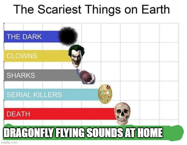 scariest things on earth | DRAGONFLY FLYING SOUNDS AT HOME | image tagged in scariest things on earth | made w/ Imgflip meme maker