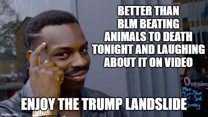 Roll Safe Think About It Meme | BETTER THAN BLM BEATING ANIMALS TO DEATH TONIGHT AND LAUGHING ABOUT IT ON VIDEO ENJOY THE TRUMP LANDSLIDE | image tagged in memes,roll safe think about it | made w/ Imgflip meme maker