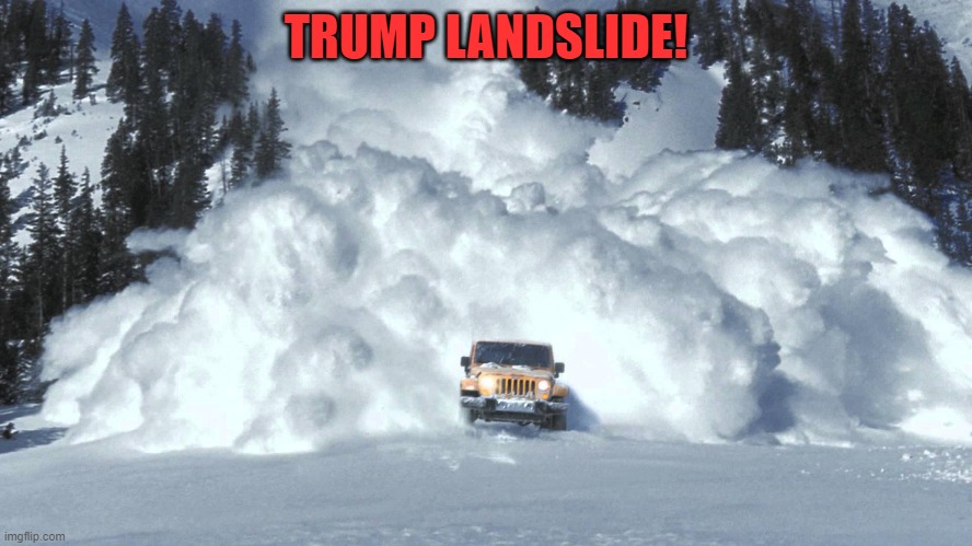 Avalanche | TRUMP LANDSLIDE! | image tagged in avalanche | made w/ Imgflip meme maker