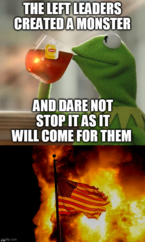 THE LEFT LEADERS CREATED A MONSTER; AND DARE NOT STOP IT AS IT WILL COME FOR THEM | image tagged in memes,but that's none of my business | made w/ Imgflip meme maker