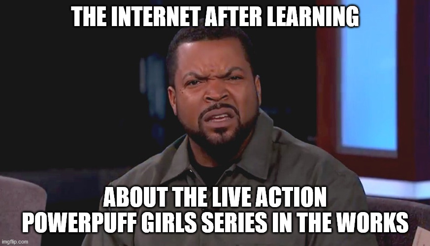 Really? Ice Cube | THE INTERNET AFTER LEARNING; ABOUT THE LIVE ACTION POWERPUFF GIRLS SERIES IN THE WORKS | image tagged in really ice cube | made w/ Imgflip meme maker
