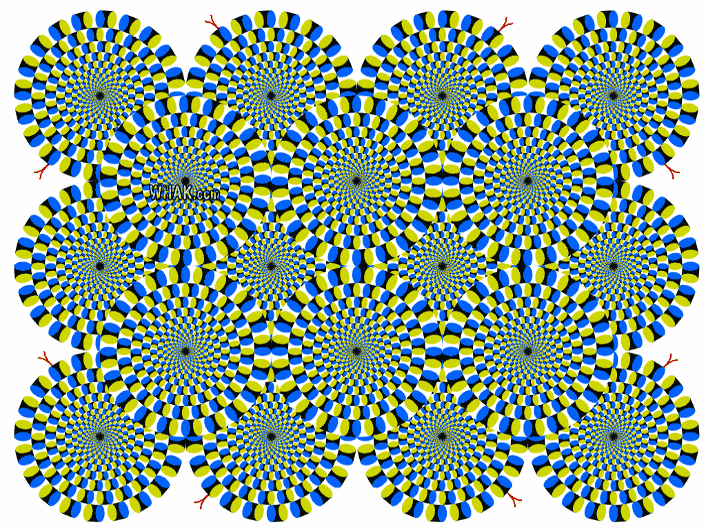 Optical Illusion - 1 Animated Circle Spinning - Imgflip