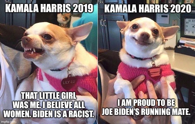 Kamala Harris is an opportunistic b!tch | KAMALA HARRIS 2019; KAMALA HARRIS 2020; THAT LITTLE GIRL WAS ME. I BELIEVE ALL WOMEN. BIDEN IS A RACIST. I AM PROUD TO BE JOE BIDEN’S RUNNING MATE. | image tagged in angry dog meme,memes,kamala harris,joe biden,racist,pervert | made w/ Imgflip meme maker