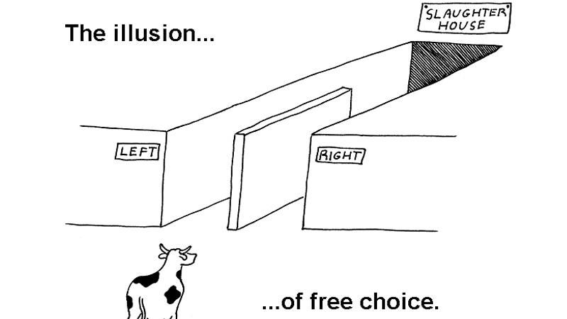 High Quality The Illusion of Free Choice Blank Meme Template