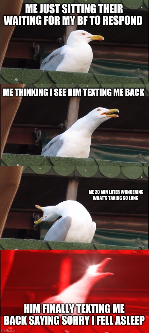Inhaling Seagull | ME JUST SITTING THEIR WAITING FOR MY BF TO RESPOND; ME THINKING I SEE HIM TEXTING ME BACK; ME 20 MIN LATER WONDERING WHAT'S TAKING SO LONG; HIM FINALLY TEXTING ME BACK SAYING SORRY I FELL ASLEEP | image tagged in memes,inhaling seagull | made w/ Imgflip meme maker