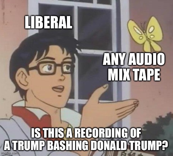 Where is the video? | LIBERAL; ANY AUDIO MIX TAPE; IS THIS A RECORDING OF A TRUMP BASHING DONALD TRUMP? | image tagged in memes,is this a pigeon,donald trump,liberal logic,trump derangement syndrome,tape | made w/ Imgflip meme maker