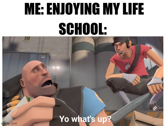 ME: ENJOYING MY LIFE; SCHOOL: | image tagged in fun | made w/ Imgflip meme maker