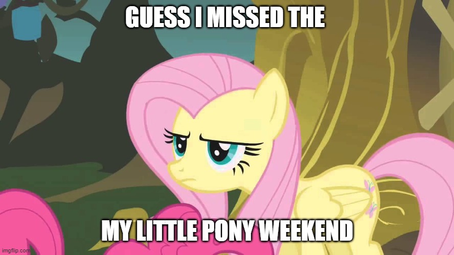 oops | GUESS I MISSED THE; MY LITTLE PONY WEEKEND | image tagged in my little pony | made w/ Imgflip meme maker