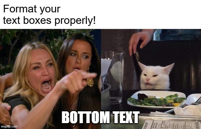Woman Yelling At Cat | Format your text boxes properly! BOTTOM TEXT | image tagged in memes,woman yelling at cat | made w/ Imgflip meme maker