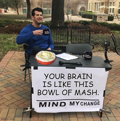 Change My Mind | YOUR BRAIN IS LIKE THIS BOWL OF MASH. | image tagged in change my mind | made w/ Imgflip meme maker