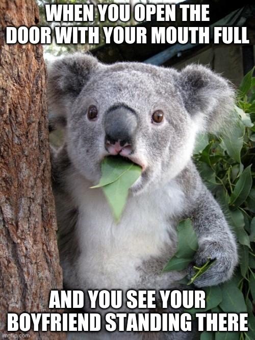 Surprised Koala Meme | WHEN YOU OPEN THE DOOR WITH YOUR MOUTH FULL; AND YOU SEE YOUR BOYFRIEND STANDING THERE | image tagged in memes,surprised koala | made w/ Imgflip meme maker