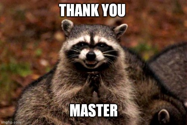 Evil Plotting Raccoon Meme | THANK YOU; MASTER | image tagged in memes,evil plotting raccoon | made w/ Imgflip meme maker