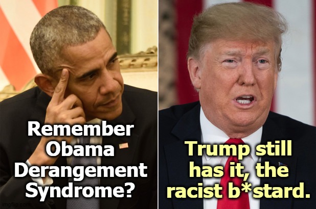 Trump still can't believe Obama was a better, more popular President. White supremacists make it hard on themselves. | Remember Obama Derangement Syndrome? Trump still has it, the racist b*stard. | image tagged in obama sane trump crazy,obama,success,trump,fail,failure | made w/ Imgflip meme maker