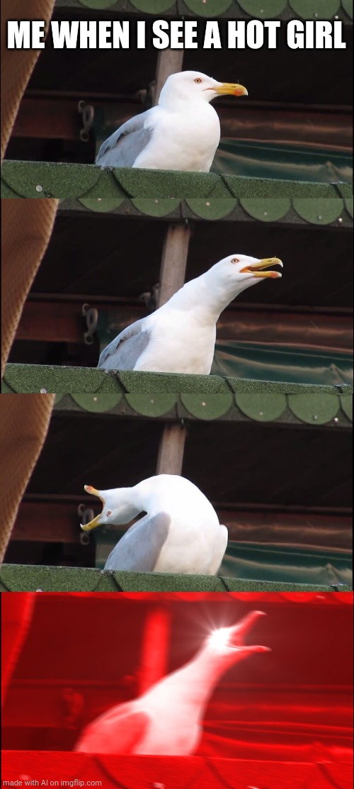 Inhaling Seagull | ME WHEN I SEE A HOT GIRL | image tagged in memes,inhaling seagull | made w/ Imgflip meme maker