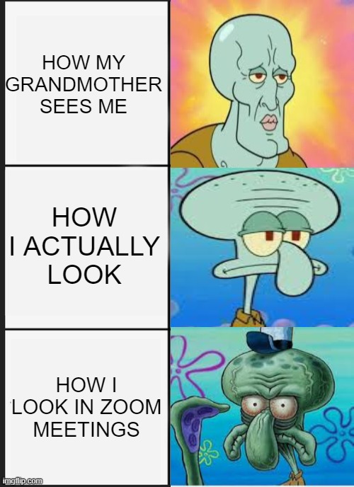 Panik Kalm Panik | HOW MY GRANDMOTHER SEES ME; HOW I ACTUALLY LOOK; HOW I LOOK IN ZOOM MEETINGS | image tagged in memes,funny | made w/ Imgflip meme maker