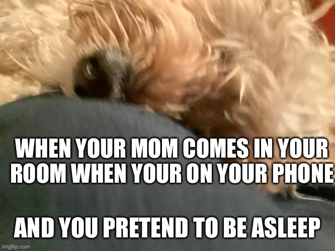 WHEN YOUR MOM COMES IN YOUR ROOM WHEN YOUR ON YOUR PHONE; AND YOU PRETEND TO BE ASLEEP | made w/ Imgflip meme maker