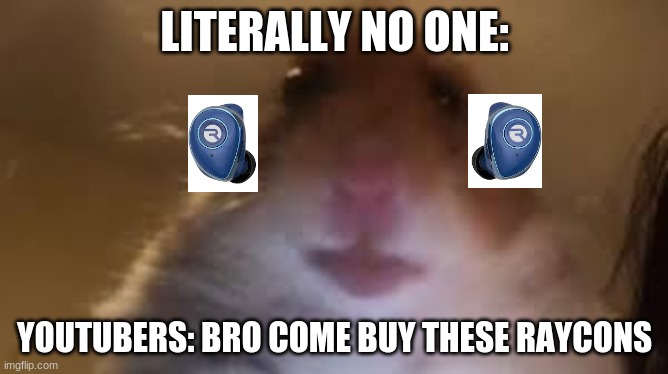 raycon | LITERALLY NO ONE:; YOUTUBERS: BRO COME BUY THESE RAYCONS | image tagged in funny | made w/ Imgflip meme maker
