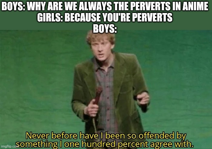 Never have i been so offended | BOYS: WHY ARE WE ALWAYS THE PERVERTS IN ANIME
GIRLS: BECAUSE YOU'RE PERVERTS
BOYS: | image tagged in never have i been so offended,boys,pervert,anime | made w/ Imgflip meme maker