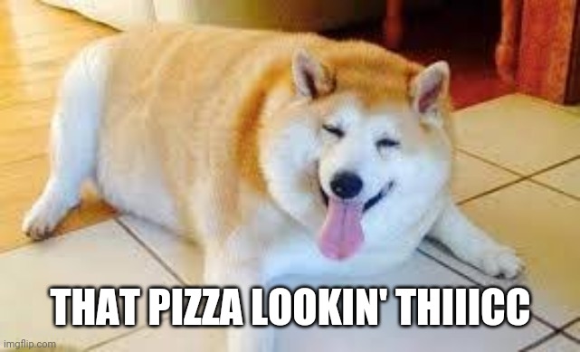 Thicc Doggo | THAT PIZZA LOOKIN' THIIICC | image tagged in thicc doggo | made w/ Imgflip meme maker