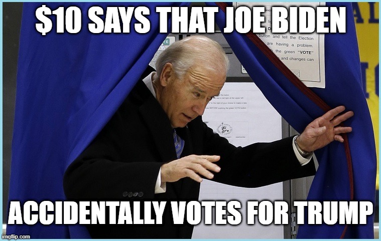 A Confused Joe Biden Votes For Trump | $10 SAYS THAT JOE BIDEN; ACCIDENTALLY VOTES FOR TRUMP | image tagged in joe biden votes,booth,confused,accident | made w/ Imgflip meme maker