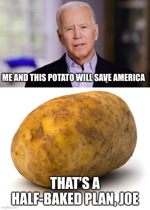 Joe's A Fry Guy | ME AND THIS POTATO WILL SAVE AMERICA; THAT'S A HALF-BAKED PLAN, JOE | image tagged in i am a potato,joe biden 2020,i am a banana | made w/ Imgflip meme maker