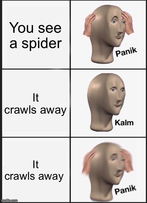 PaNiK pAnIk PaNiK | You see a spider; It crawls away; It crawls away | image tagged in memes,panik kalm panik | made w/ Imgflip meme maker
