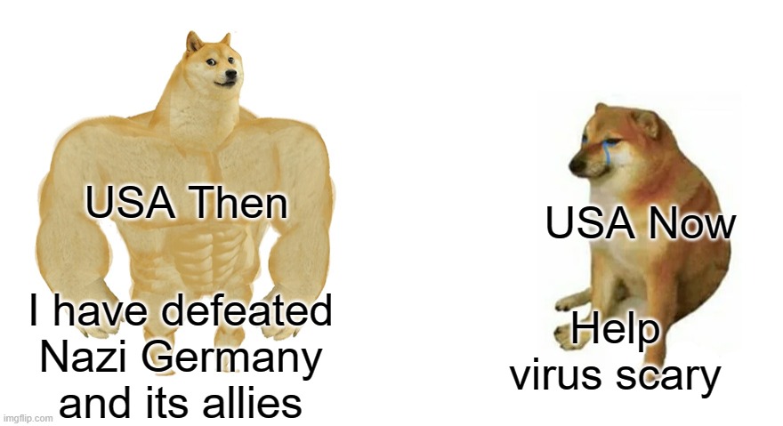 Uh.,.,.,. | USA Now; USA Then; Help virus scary; I have defeated Nazi Germany and its allies | image tagged in buff doge vs crying cheems | made w/ Imgflip meme maker