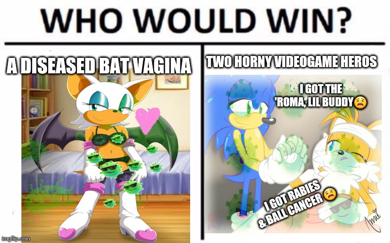 Rouge vs sonic & tails | TWO HORNY VIDEOGAME HEROS; A DISEASED BAT VAGINA; I GOT THE 'ROMA, LIL BUDDY😫; I GOT RABIES & BALL CANCER 😫 | image tagged in memes,who would win,sonic the hedgehog,tails | made w/ Imgflip meme maker