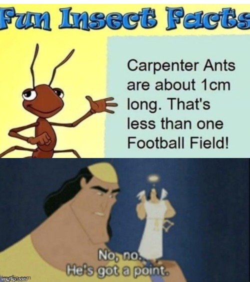 The ant has a point | image tagged in no no hes got a point,memes,funny,fun fact | made w/ Imgflip meme maker