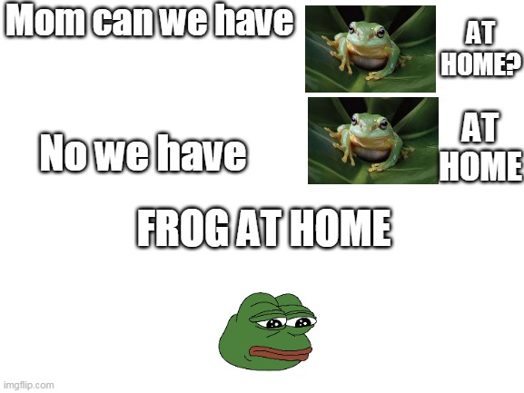 We have *frog at home | Mom can we have; AT HOME? AT HOME; No we have; FROG AT HOME | image tagged in blank white template | made w/ Imgflip meme maker