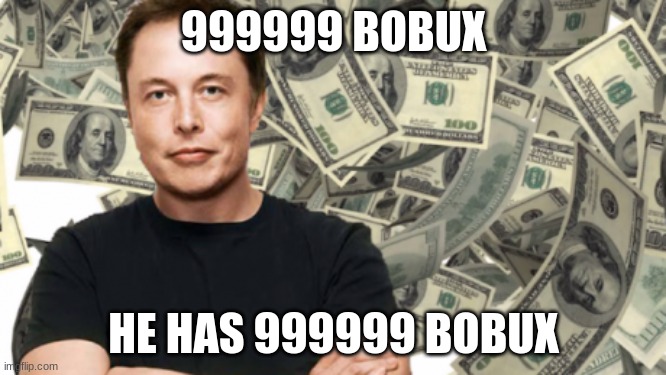 999999 BOBUX; HE HAS 999999 BOBUX | image tagged in elon musk | made w/ Imgflip meme maker
