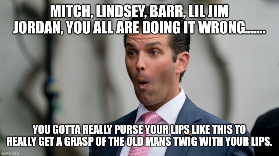 Donald Trump Jr. looking smarter than usual | MITCH, LINDSEY, BARR, LIL JIM JORDAN, YOU ALL ARE DOING IT WRONG....... YOU GOTTA REALLY PURSE YOUR LIPS LIKE THIS TO REALLY GET A GRASP OF THE OLD MANS TWIG WITH YOUR LIPS. | image tagged in donald trump jr looking smarter than usual | made w/ Imgflip meme maker