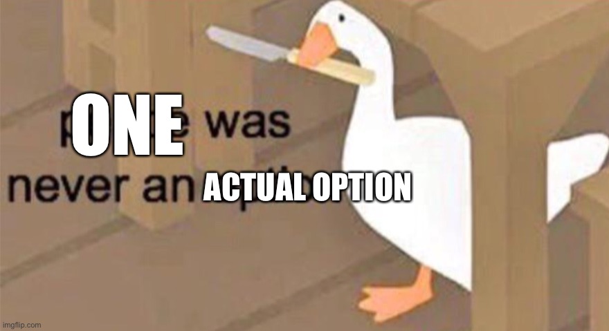 Untitled Goose Peace Was Never an Option | ONE ACTUAL OPTION | image tagged in untitled goose peace was never an option | made w/ Imgflip meme maker