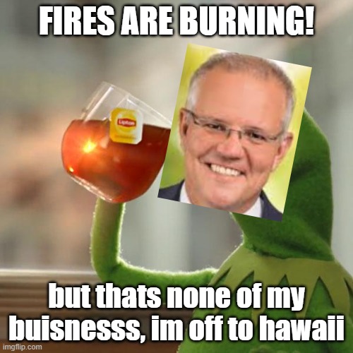 But That's None Of My Business | FIRES ARE BURNING! but thats none of my buisnesss, im off to hawaii | image tagged in memes,but that's none of my business,kermit the frog | made w/ Imgflip meme maker