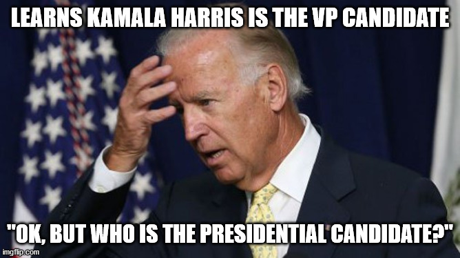 At least this won't be boring | LEARNS KAMALA HARRIS IS THE VP CANDIDATE; "OK, BUT WHO IS THE PRESIDENTIAL CANDIDATE?" | image tagged in joe biden worries,biden 2020,kamala harris,joe biden | made w/ Imgflip meme maker