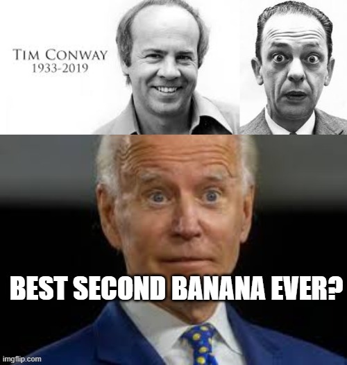 Biden Second Banana now and forever | image tagged in biden,loser,democrat | made w/ Imgflip meme maker