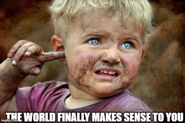 World finally starts making sense | THE WORLD FINALLY MAKES SENSE TO YOU | image tagged in fun | made w/ Imgflip meme maker