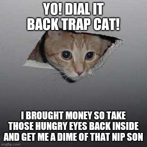Ceiling Cat Meme | YO! DIAL IT BACK TRAP CAT! I BROUGHT MONEY SO TAKE THOSE HUNGRY EYES BACK INSIDE AND GET ME A DIME OF THAT NIP SON | image tagged in memes,ceiling cat | made w/ Imgflip meme maker