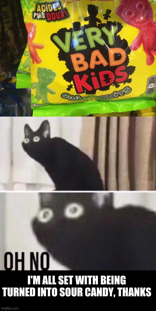 I'M ALL SET WITH BEING TURNED INTO SOUR CANDY, THANKS | image tagged in oh no cat | made w/ Imgflip meme maker