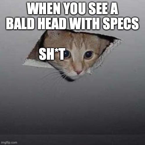 MR CHAI??? | WHEN YOU SEE A BALD HEAD WITH SPECS; SH*T | image tagged in memes,ceiling cat | made w/ Imgflip meme maker