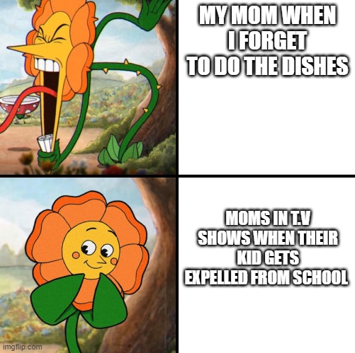 angry flower | MY MOM WHEN I FORGET TO DO THE DISHES; MOMS IN T.V SHOWS WHEN THEIR KID GETS EXPELLED FROM SCHOOL | image tagged in angry flower | made w/ Imgflip meme maker